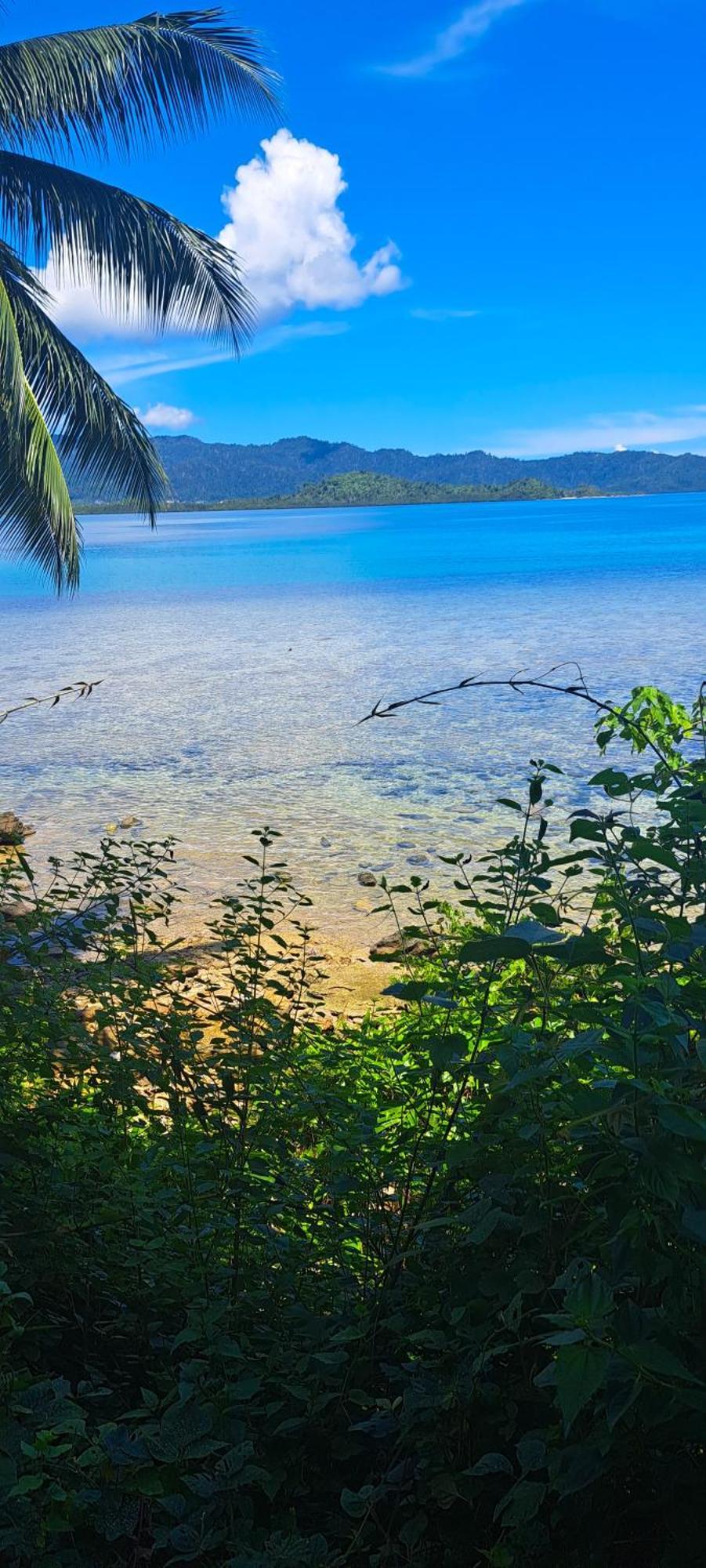 The View - Jungle Lodges - Port Barton San Vicente  Bagian luar foto